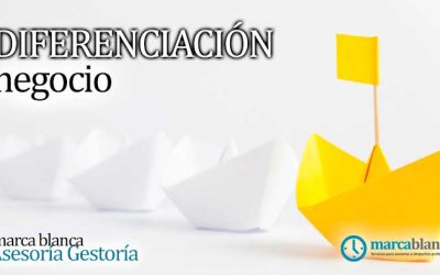 Cómo diferenciarse en un mercado competitivo con soluciones de marca blanca en asesorías y gestorías