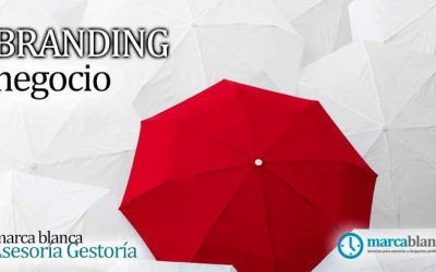 La importancia del branding y la imagen de tu negocio al ofrecer servicios de asesoría y gestoría de marca blanca