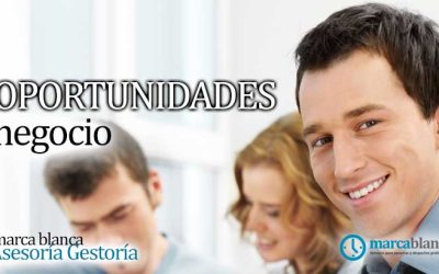 Oportunidades de Negocio para Asesorías y Gestorías: Beneficios de las Soluciones de Marca Blanca