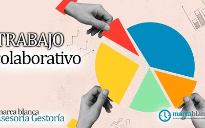 Beneficios del trabajo colaborativo entre asesorías y gestorías y proveedores de servicios de marca blanca