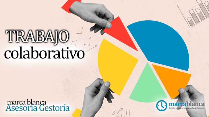 trabajo colaborativo marca blanca