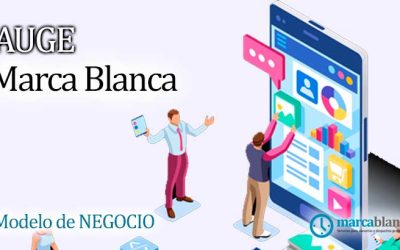 Empezando con servicios de Marca Blanca: Guía para su implementación