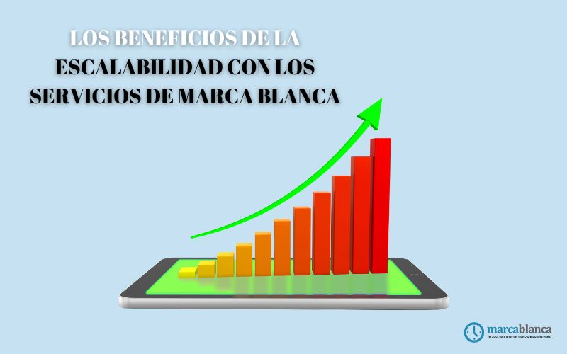 Los beneficios de la escalabilidad con los servicios de marca blanca